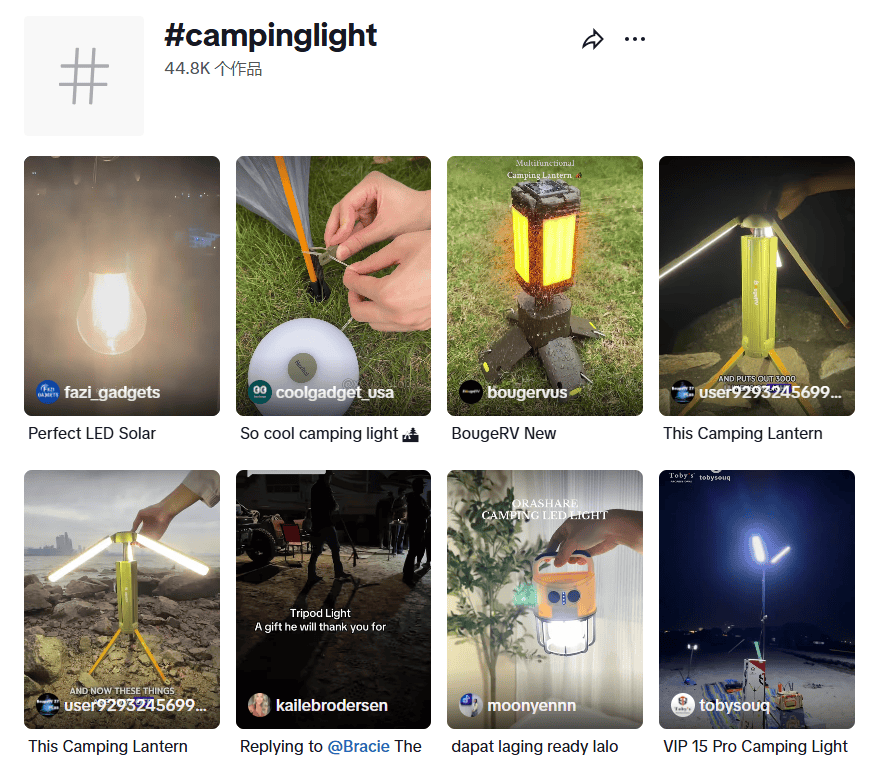 路！这个宁波小镇靠手电筒年捞80亿新葡京娱乐城“死亡”行业里杀出血(图7)