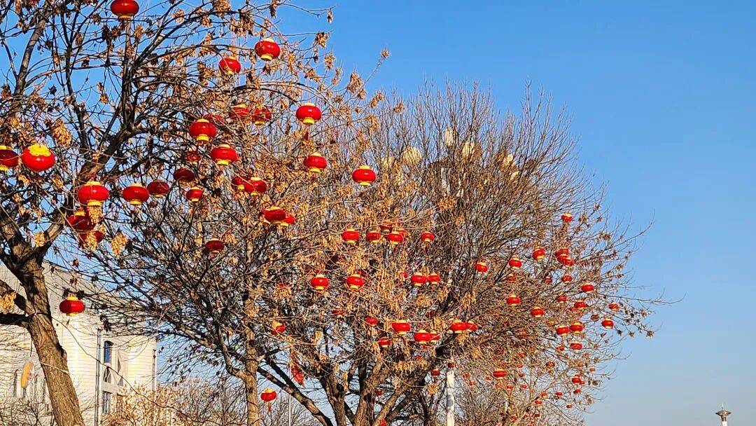 灯高挂 点亮浓浓年味新葡京喜迎新春｜暖(图1)